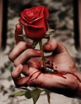 HERIDAS SIN... CICATRIZAR